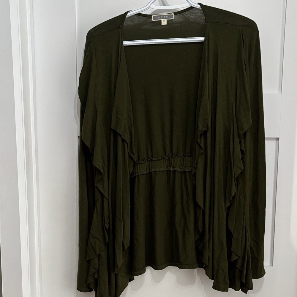 Pleione Forest Green sweater